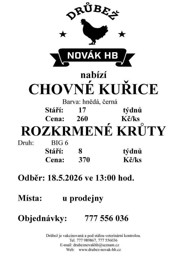 Hlášení
