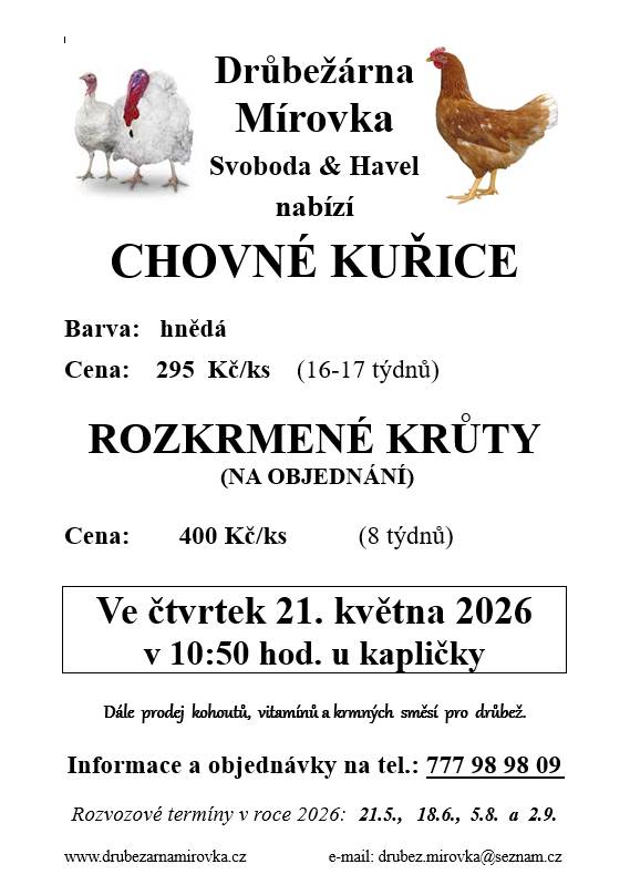 DRŮBEŽÁRNA MÍROVKA, Svoboda-Havel, prodává  ve čtvrtek 21. května 2026 v 10:50 hod. u kapličky   nosné kuřice (hnědé) - stáří 16-17 týdnů, cena 295 Kč a rozkrmenné krůty - stáří 8 týdnů, cena 400 Kč     Objednání (doporučujeme) je možné na tel.: 777 98 98 09 nebo drubez.mirovka@seznam.cz.