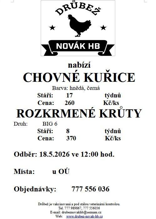 Drůbežárna Novák HB bude v pondělí 18. května 2026 ve 12 hod. před OÚ prodávat chovné kuřice a rozkrmené krůty.