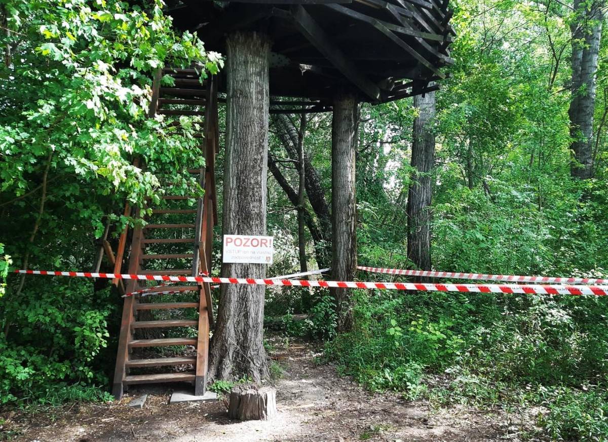 Rozhľadňa Hniezdo sa za roky stala symbolom našich prechádzok. Priniesla nám veľa radosti, nezabudnuteľných momentov a chvíľ v korunách stromov, kde sa človek cítil súčasťou prírody pri Malom Dunaji.Po rokoch verných služieb nastal moment, kedy sa s touto obľúbenou stavbou musíme rozlúčiť.