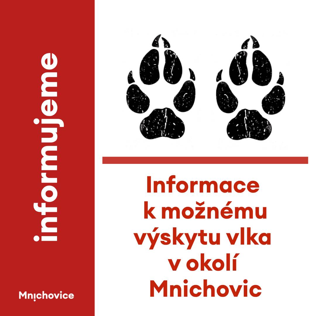 Město Mnichovice obdrželo podnět na možné pozorování vlka obecného v lesních porostech na okraji města. Dostupné podklady byly následně předány Agentuře ochrany přírody a krajiny ČR (AOPK ČR), která uvedla, že se s velkou pravděpodobností skutečně jednalo o jedince vlka obecného. Podle odborníků nejde o mimořádnou situaci. Jednotliví migrující vlci se mohou přechodně objevit prakticky kdekoli na území České republiky, zejména v období, kdy mladí jedinci opouštějí rodná teritoria a hledají nové oblasti k životu. Pravděpodobně se jednalo právě o takového migrujícího jedince. Na doporučení AOPK ČR vyzýváme majitele psů, aby měli své psy při procházkách v přírodě na vodítku. Zároveň není vhodné ponechávat na kompostech živočišné zbytky, které mohou lákat volně žijící zvěř blíže k lidským obydlím. Další mimořádná opatření nejsou podle odborníků v tuto chvíli nutná. Vlk je přirozeně plaché zvíře, které se člověku běžně vyhýbá. Přesto doporučujeme zachovat při pohybu ve volné přírodě obvyklou opatrnost a respekt k divoce žijícím zvířatům.