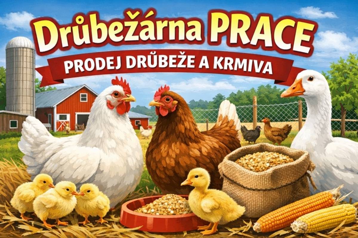 Drůbežárna Prace bude v úterý 19. 5. ve 12:30 hod. prodávat: mladé kuřice a kohouty, slepice po roce snášky za 140 Kč, brojlerová kuřata, krůty, káčata, housata a husokačeny Mulard, krmivo pro drůbež a králíky, vitamínové doplňky a dále pak vykupovat králičí kůže-cena 10 Kč/ks.