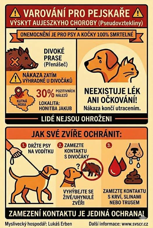 POZOR: SMRTELNÁ NÁKAZA V HONITBĚ JAKUB!    Vážení občané, zejména majitelé psů a koček.V honitbě Jakub byl u divokého prasete potvrzen nález Aujeszkyho choroby (tzv. pseudovztekliny). Tato situace je pro vaše domácí mazlíčky kritická!