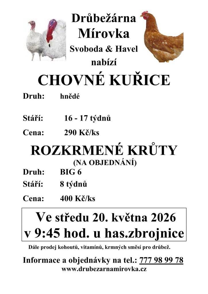 Drůbežárna Mírovka a Svoboda Havel zve všechny zájemce o drůbež. Nabízí chovné kuřice hnědé, které jsou ve stáří 16 až 17 týdnů za cenu 290 Kč za kus, a dále rozkrmené krůty plemene BIG 6 na objednání, které jsou 8 týdnů staré a cena činí 400 Kč za kus.