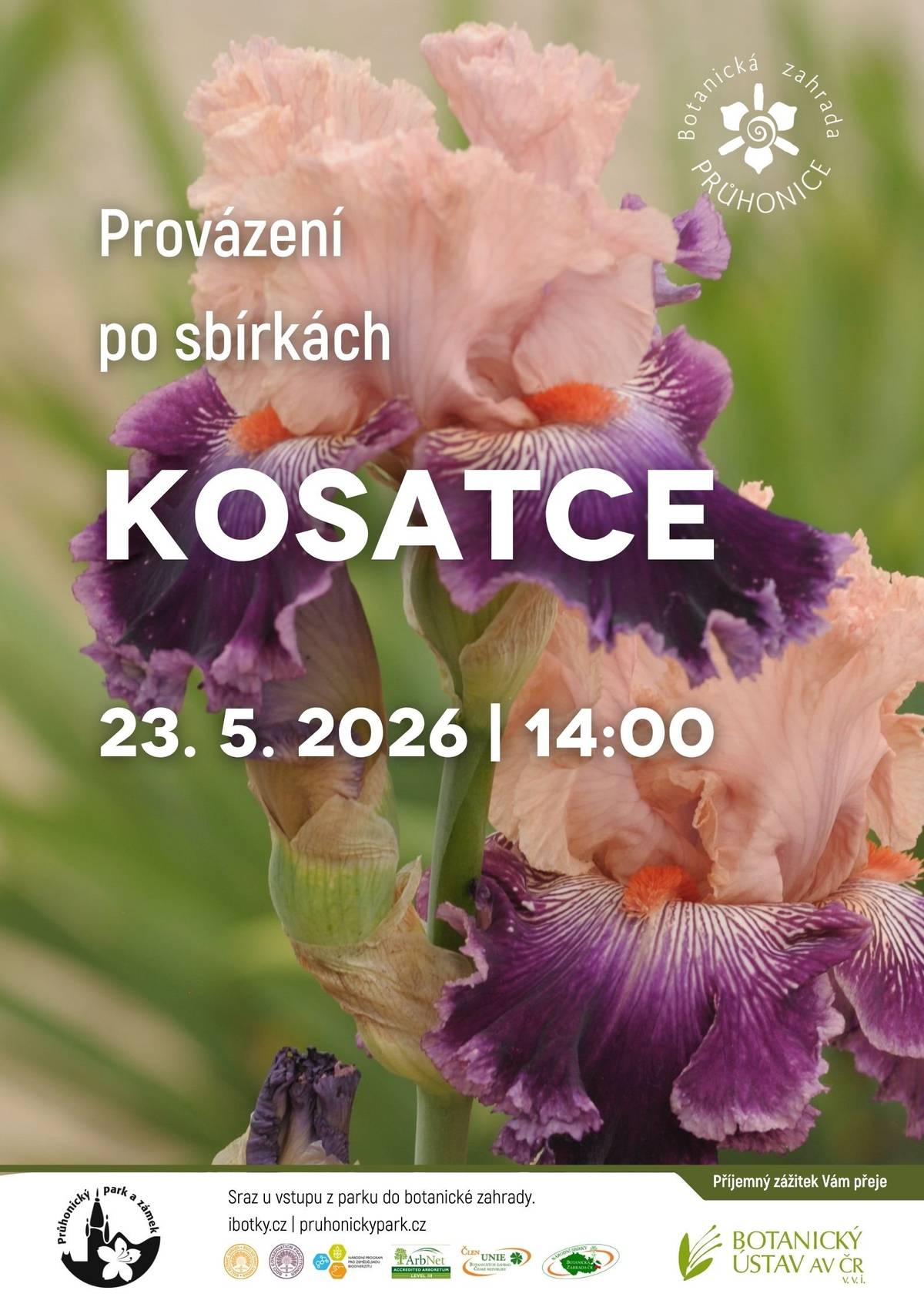 Provázení po sbírkách - Kosatce - 23.05.2026