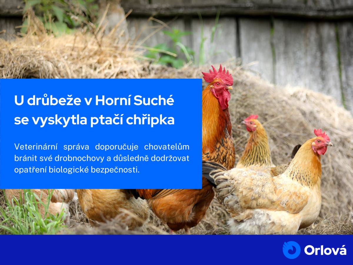 Veterinární správa upozorňuje na výskyt nebezpečné newcastleské choroby v chovu drůbeže na území Horní Suché. Kolem tohoto ohniska bylo nařízeno uzavřené pásmo o poloměru 3 km a pásmo dozoru o poloměru 10 km. Všem chovatelům drůbeže a jiných ptáků chovaných v zajetí se doporučuje důsledné dodržování opatření biologické bezpečno...