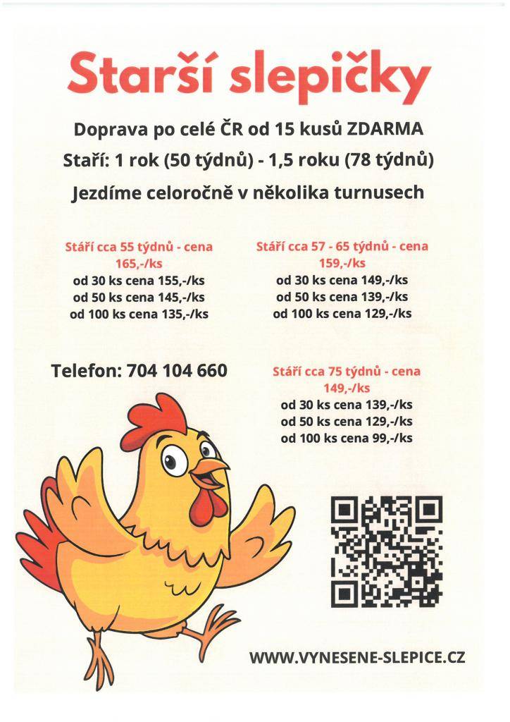 Prodej starších slepic