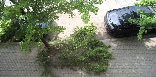 Město Benešov eviduje v posledních dnech dva případy poškození stromů ve veřejném prostoru. Oba případy jsou ukázkou zbytečného vandalismu, který ničí městskou zeleň a znehodnocuje prostředí, které slouží všem obyvatelům.