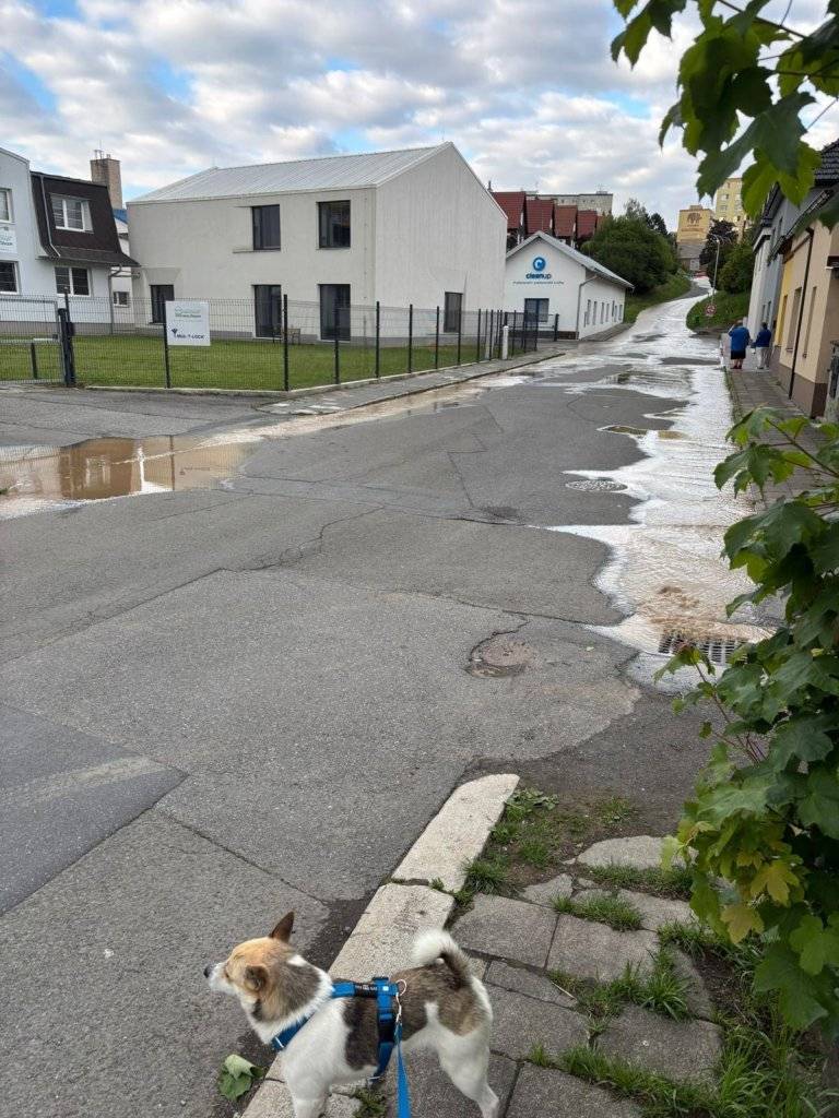 V pondělí v podvečer došlo k velké havárii vodovodu na Hromůvce. V úterý odpoledne se podařilo poškozené potrubí vyměnit a  závada tak byla odstraněna. V době havárie Vodovody a kanalizace Přerov přepojily směr vodovodu a upozornily na možné zakalení vody ve veřejném vodovodu i vnitřních domovních rozvodech v předmětné oblasti. Proto VaK Přerov doporučoval  zakalenou vodu nepít a dočasně  neprat, aby nedošlo k zbarvení prádla. . Důvodem havárie byla podélná prasklina na potrubí a bylo proto nutné vyměnit celou trubku.
