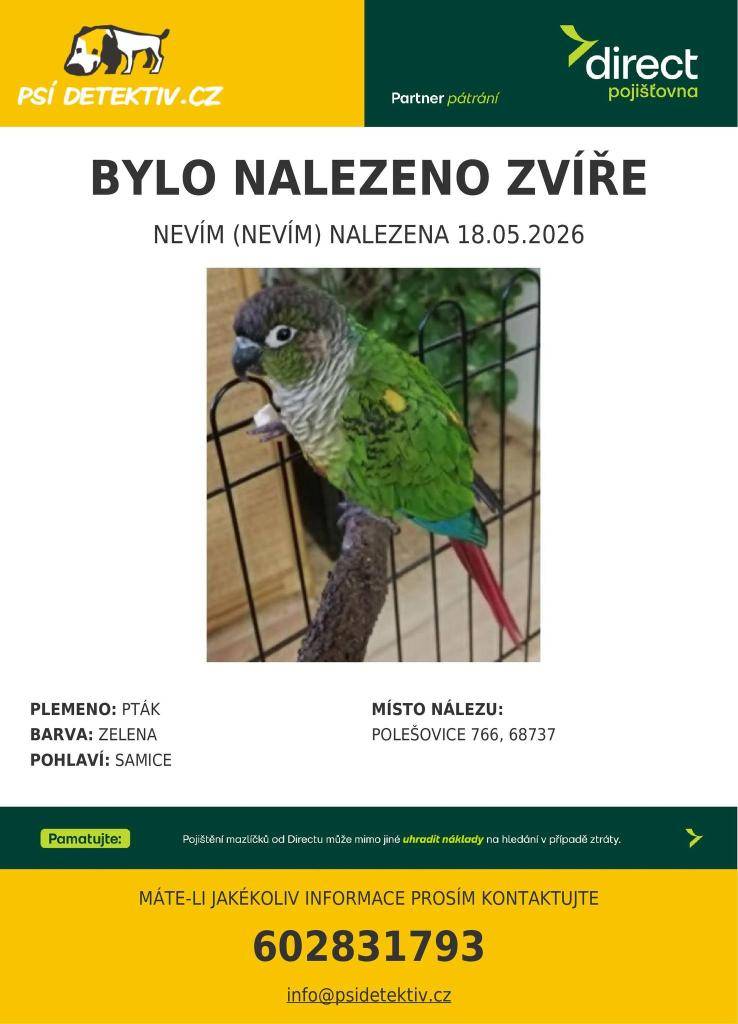 středeční prodeje, papoušek
