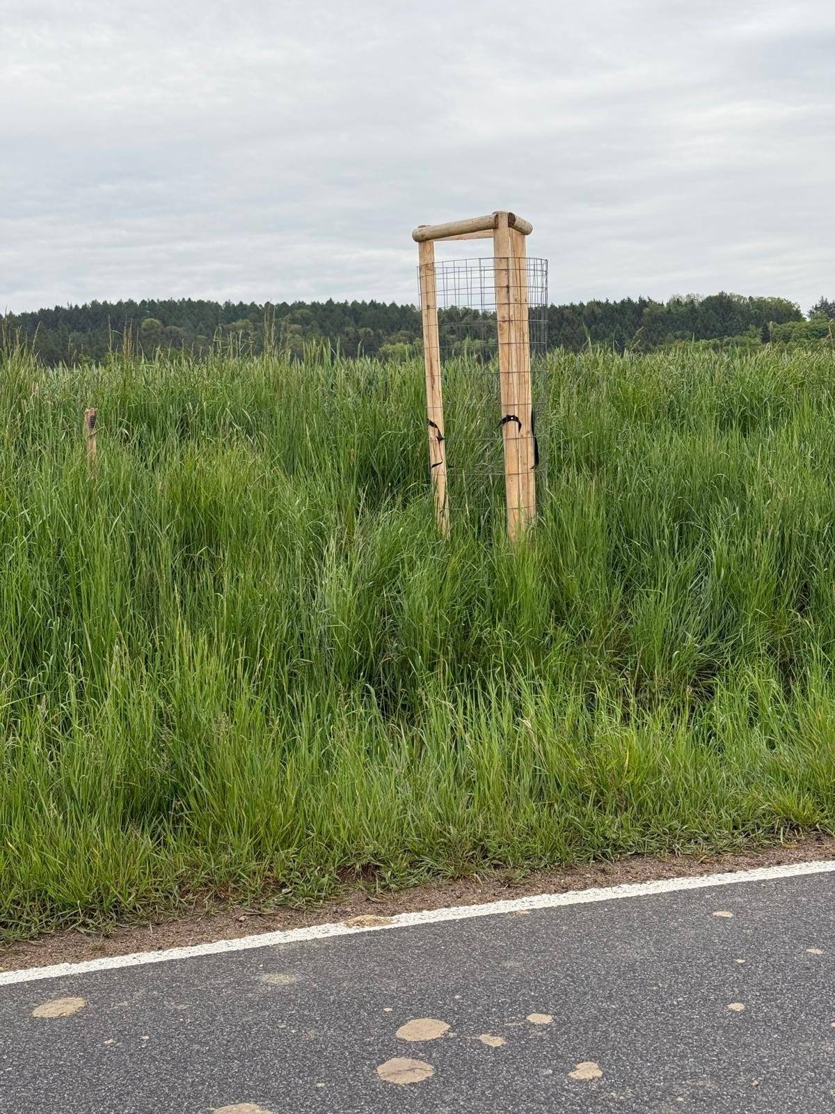 V noci z neděle 17.5. na pondělí 18.5.2026 neznámý pachatel odcizil 10 stromků z nově vysázené aleje mezi Studnicí a Zblovem a zničil tak naši společnou práci. Hledáme všechny, kteří tuto noc projížděli kolem. Je možné, že viděli něco, co by mohlo vést k dopadení pachatele. Moc děkujeme za pomoc.