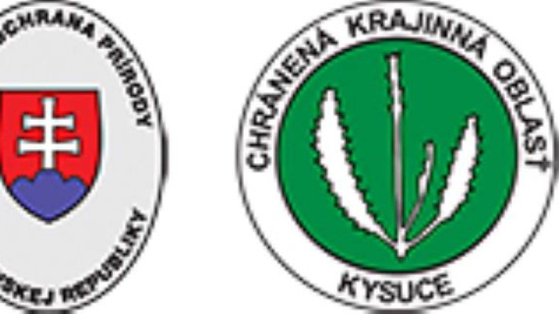 Návrh
