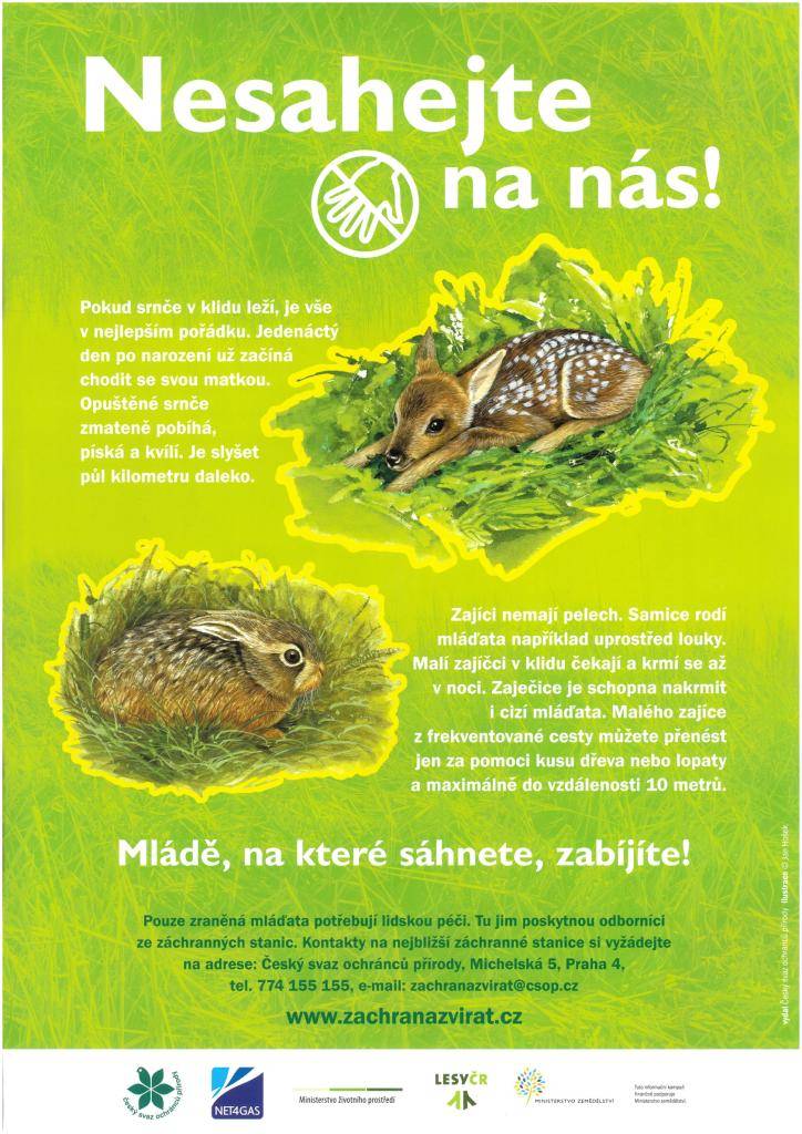 Zachovejte klid a hlavně ho nikam nenoste. Je v pořádku, že rodiče netráví s mladými všechen čas.