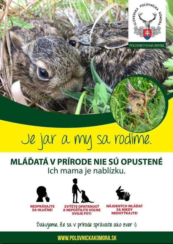 Opäť sa nachádzame v období kladenia mláďat našej voľne žijúcej zveri na našich poliach a v lesoch. Nakoľko toho životného priestoru majú čoraz menej a menej, chceme Vás poprosiť, aby ste Vaše prechádzky v tomto období obmedzili na minimum a hlavne, aby ste Vašich psíkov nepúšťali na voľno.