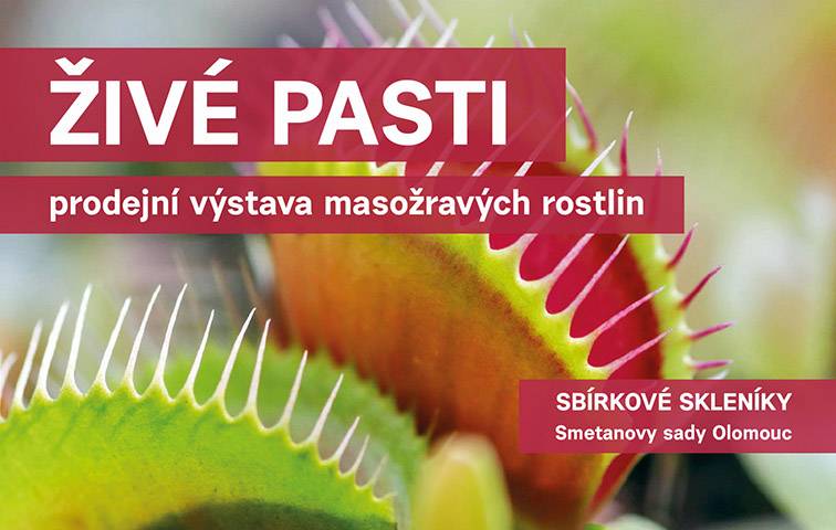 Živé pasti 2026  Výstava Živé pasti se uskuteční od 23. května do 7. června 2026 ve sbírkových sklenících.              Návštěvníci se mohou těšit na:  fascinující svět masožravých rostlin fotografie z expedice Kambodža prodej rostlin a odbornou poradnu večerní komentované prohlídky