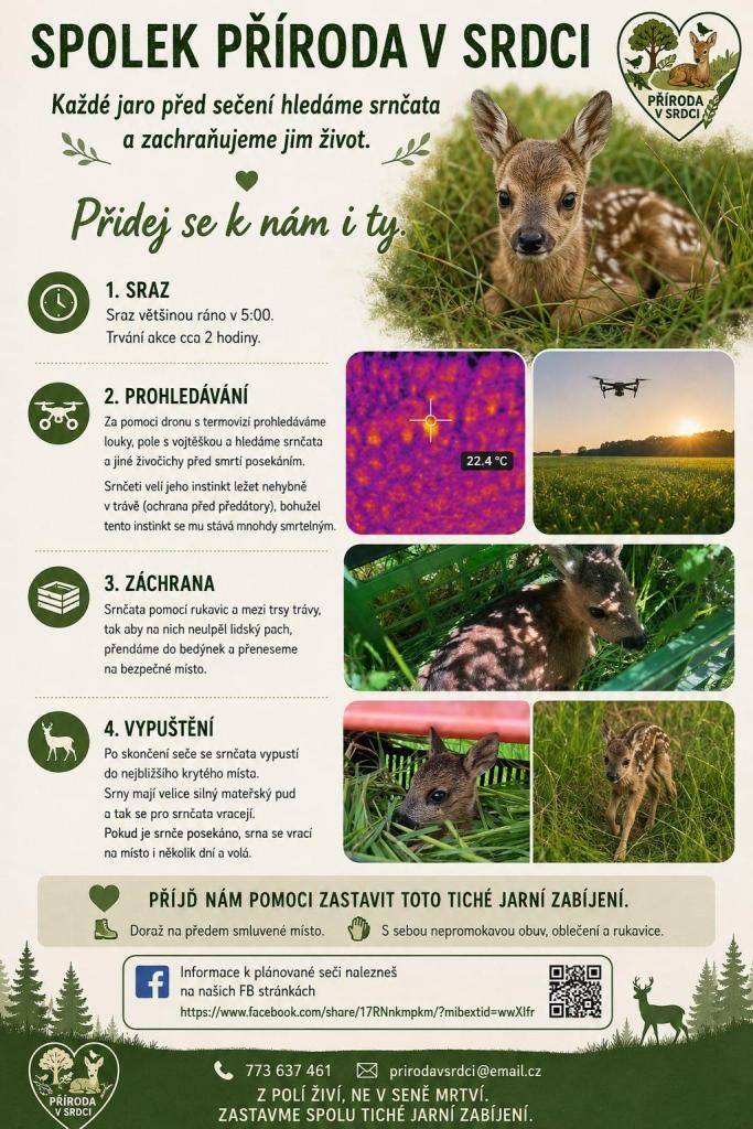 Spolek Příroda v srdci pořádá, jako každý rok, prohledávání luk a polí před sečením vojtěšky, kde se hledají srnčata a jiná zvířata, která se zde ukrývají. Pokud byste měli zájem pomoci, ozvěte se na kontakty v přiloženém letáku a tam se dozvíte více podrobností a konkrétní termíny.
