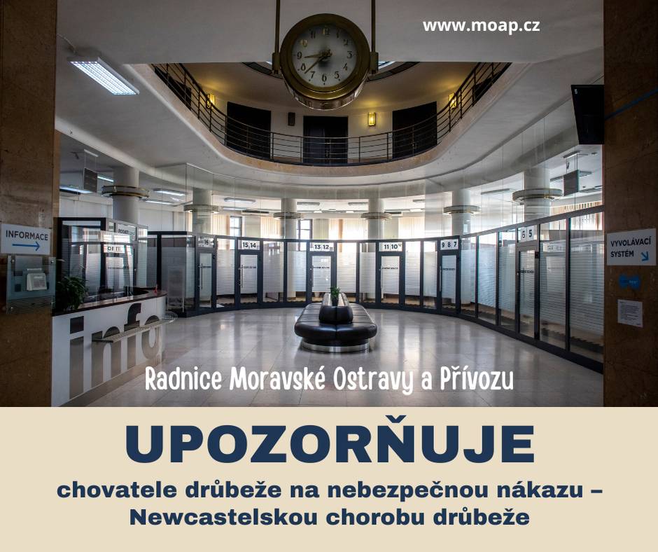 Státní veterinární správa vydala mimořádná veterinární opatření kvůli výskytu newcastleské choroby drůbeže v Moravskoslezském kraji. Chovatelé mají povinnost nahlásit svůj chov nejpozději do 27. 5. 2026. Povinnost se týká chovů drůbeže i dalšího ptactva v zajetí. 👉 Pokud máte chov, na který se opatření vztahují, kontaktujte: Táňa Štverková 📧 tana.stverkova@moap.ostrava.cz 📞 599 442 907 Podrobnosti o povinnostech chovatelů jsou uvedeny v nařízení Státní veterinární správy.