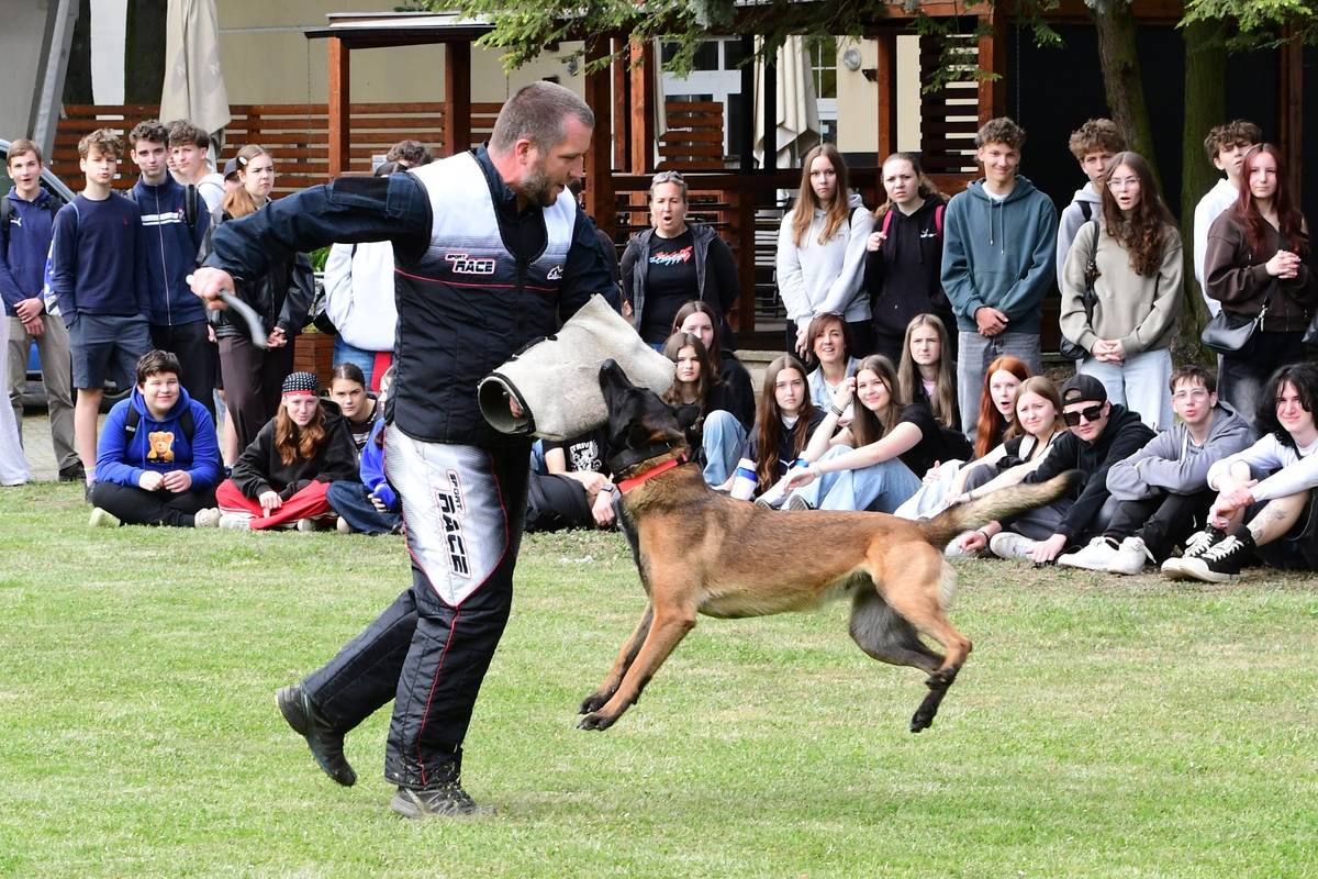 Policie ČR ve spolupráci s městem Litoměřice a Zahradou Čech připravila pro žáky devátých tříd základních škol preventivně-naučnou akci Do života bez karambolů. Ta zakončila již tradiční kampaň Národní dny bez úrazu, která pro školáky i z dalších tříd základních škol probíhala rovněž na dětském dopravním hřišti.  V prostorách výstaviště Zahrada Čech bylo připraveno celkem 16 stanovišť, kde se prezentovaly všechny složky Integrovaného záchranného systému plus další instituce, které zde prezentovaly náplň své činnosti. „Celkem za námi dorazily zhruba tři stovky žáků z místních škol,“ sdělila Pavla Kofrová, tisková mluvčí litoměřického územního odboru Policie ČR. Jednotlivá stanoviště: 4x Policie ČR (kriminalistický technik, poříční policie, hlídková policie, psovodi), vězeňská služba, prevence kriminality, dopravní policie, městská policie, 2x hasiči (ukázky techniky a vybavení, prevence), 2x Český červený kříž (ukázky první pomoci a simulace nehody), K-centrum, tyflocentrum, bojaři a autoškola. {gallery}02026/den_bez_karambolu9{/gallery}
