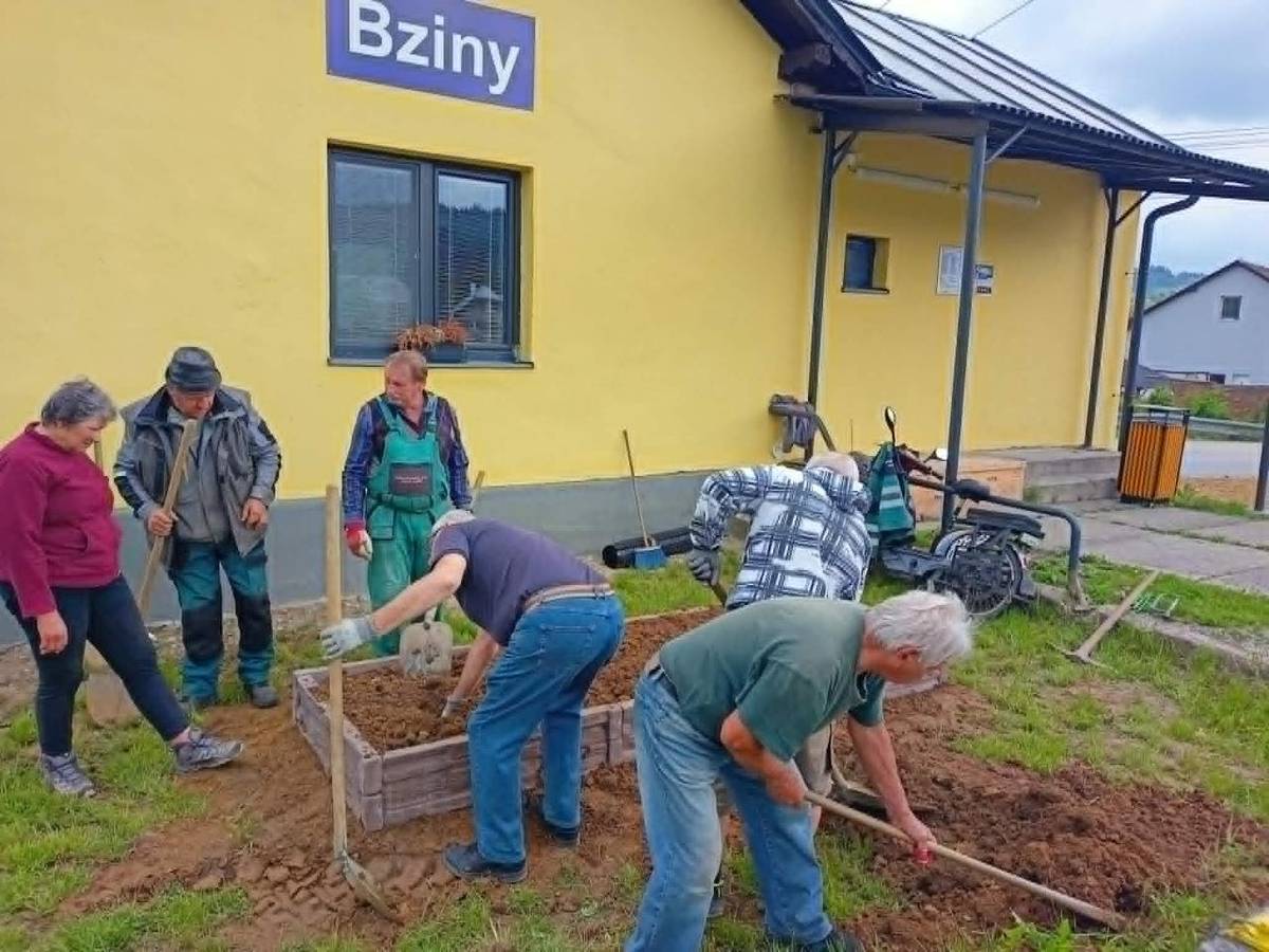 V dňoch 18. – 24. mája prebieha celoslovenská kampaň Týždeň dobrovoľníctva, ktorej cieľom je spájať ľudí a skrášľovať miesta, ktoré tvoria hodnotu nášho regiónu. Naši seniori zo ZO JDS Bziny dnes, 21. mája, nenechali nič na náhodu a s chuťou sa pustili do práce!