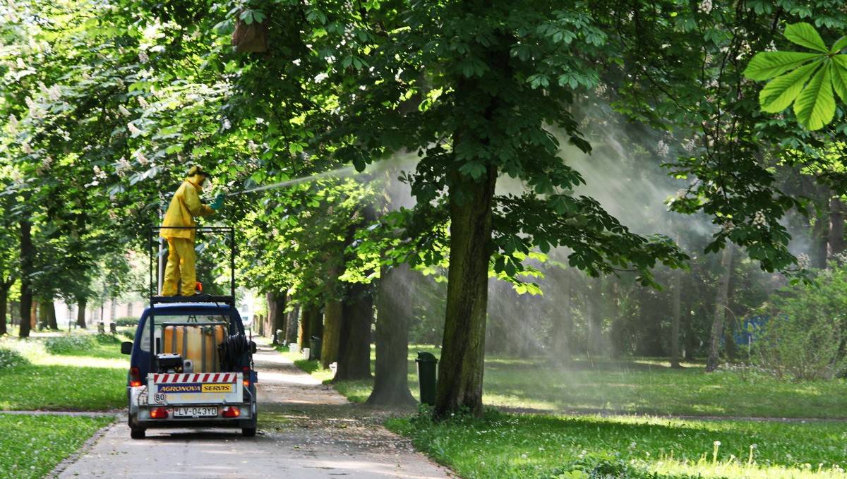Pagaštany v Piešťanoch čaká preventívne ošetrenie proti škodcovi ploskáčikovi pagaštanovému. Chemický postrek bude realizovaný koncom mája vo viacerých lokalitách mesta vrátane Mestského parku. Mesto žiada obyvateľov o zvýšenú opatrnosť a rešpektovanie dočasných obmedzení počas vykonávania prác.