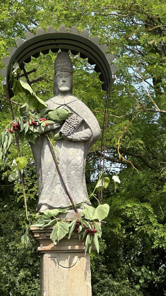 Dňa 24.05.2026 /v nedeľu/ o 14:30 hod. vo viniciach pri soche Sv. Urbana sa uskutoční pobožnosť požehnania viníc.