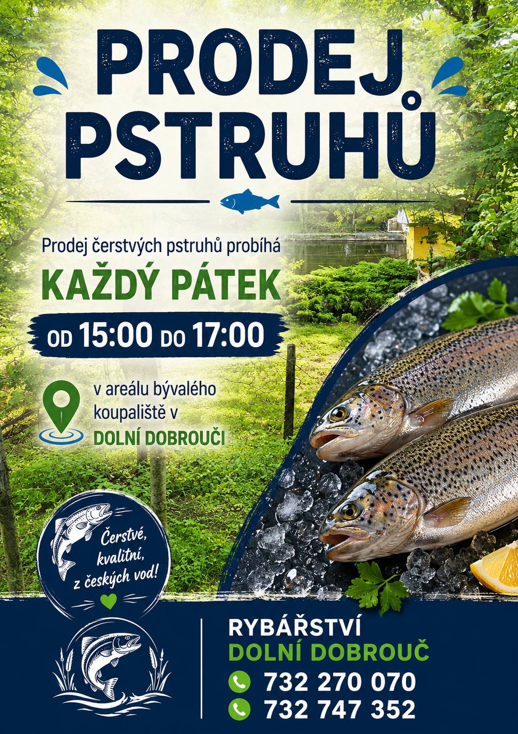 Prodej čerstvých pstruhů probíhá každý pátek od 15 do 17 hodin v areálu bývalého koupaliště v Dolní Dobrouči.