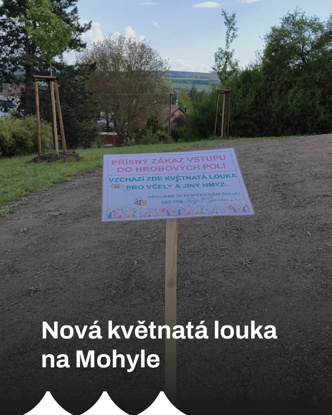 🌼NOVÁ KVĚTNATÁ LOUKA NA MOHYLE🌼   Na hrobových místech u památníku Mohyla byla vyseta květnatá louka.   Bohužel jsme zjistili, že vzcházející rostlinky jsou pošlapané.       Prosíme všechny, aby nechodili přes hrobová pole.   Nejen že se jedná o místa odpočinku, ale nyní se ničí i mladé květinky.   Děkujeme.