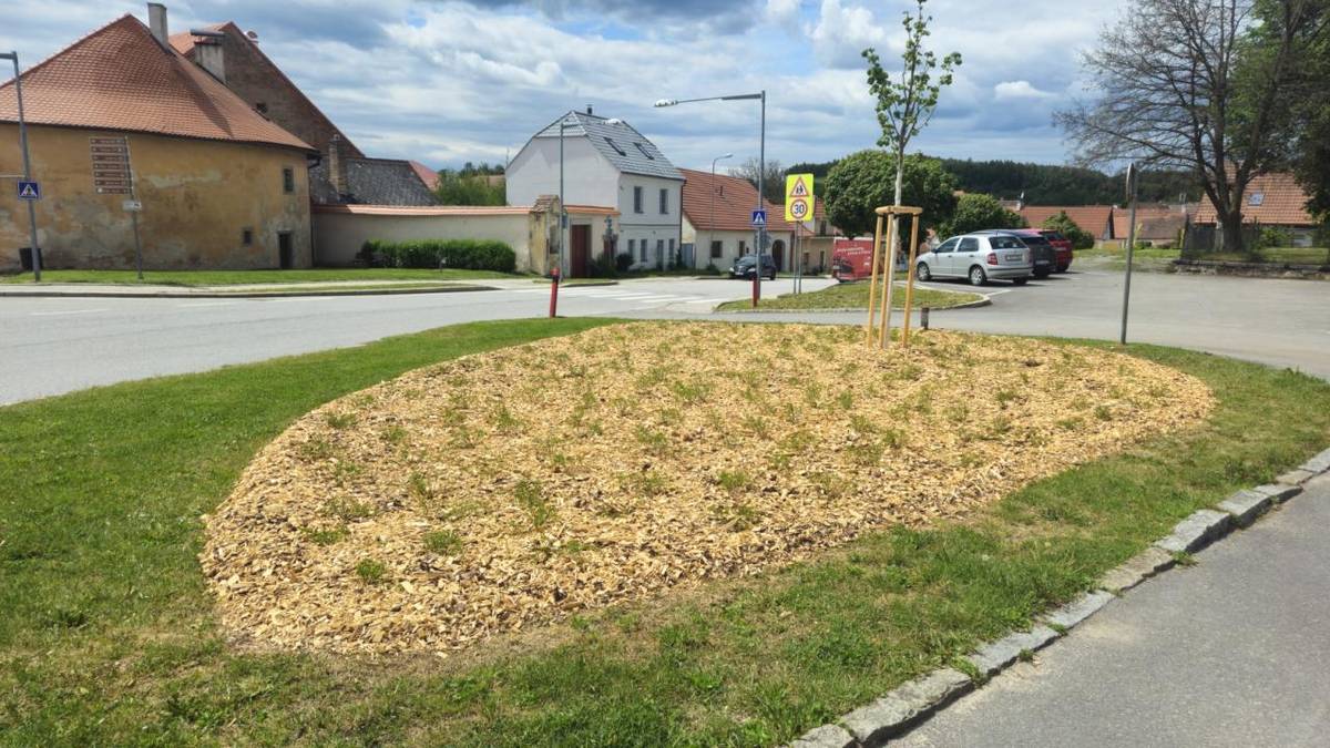 Nová výsadba stromů a keřů ve Slavonicích má přispět k ochlazení mikroklimatu v oblasti, která čelí dopadům změny klimatu. Místostarostka Věra Fialová uvedla, že výsadba probíhá v blízkosti asfaltových povrchů, aby byl zajištěn efekt chladícího prostředí.