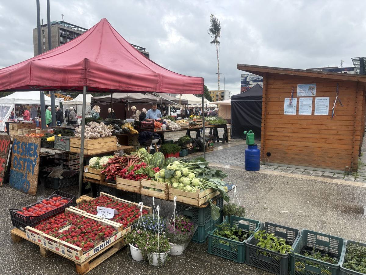 Dnešní Slezský rynek na Náměstí Ostrava-Jih se rozrostl o dva nové stánky – Babiččiny bylinky s ošetřující kosmetikou i bylinnými produkty k vnitřnímu užití, a rodinné zahradnictví z jižní Moravy, které přivezlo cibuloviny všeho druhu. Rozmanitější je i nabídka sezónní zeleniny a ovoce, děti potěší živé včely u stánku s medovými produkty. Zpestřete si odpolední procházku Jihem! Trhy jsou dnes do 17. hodiny.
