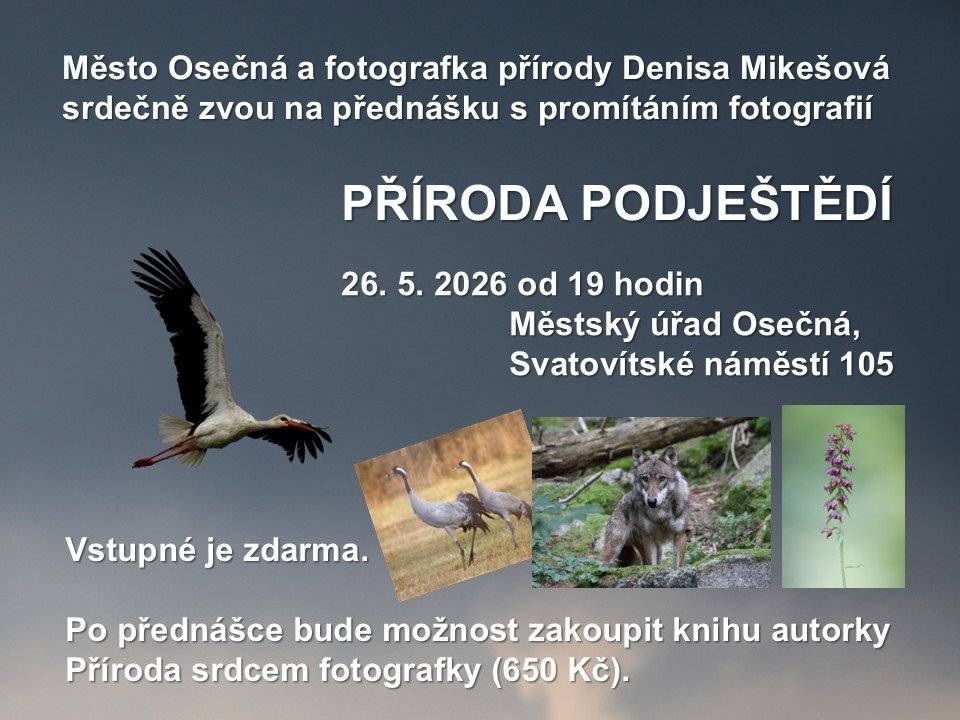 Pozvánka na promítání