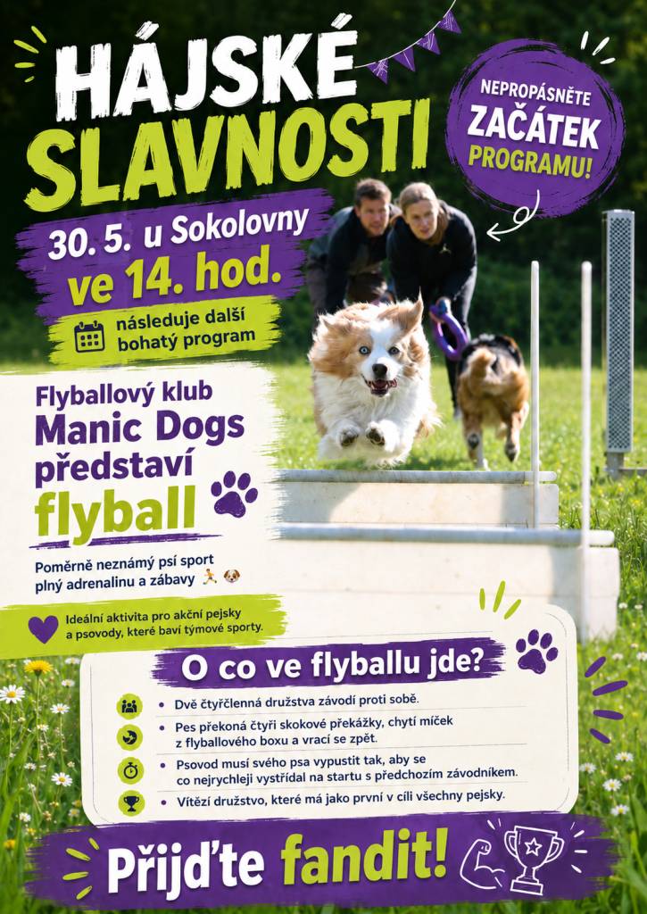Flyballový klub Manic Dogs představí flyball na Hájských slavnostech