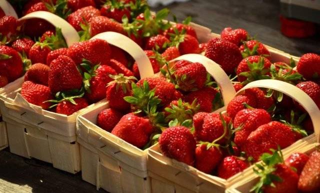Soukromý prodejce nabízí dnes od 15.30h na městečku košík jahod cca 2kg za 250,- Kč, záloha na košík 20,- Kč.🍓