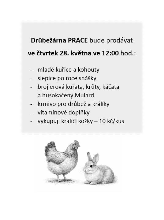 28.5.2026, ve 12:00, u OÚ
