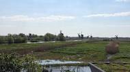 Větrné mlýny v Kinderdijk