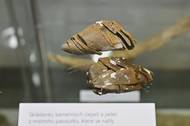 Exponáty výstavy Objevy muzejních archeologů