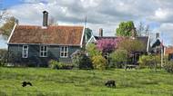 Zaanse Schans