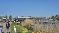 Větrné mlýny v Kinderdijk