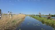 Větrné mlýny v Kinderdijk