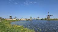 Větrné mlýny v Kinderdijk