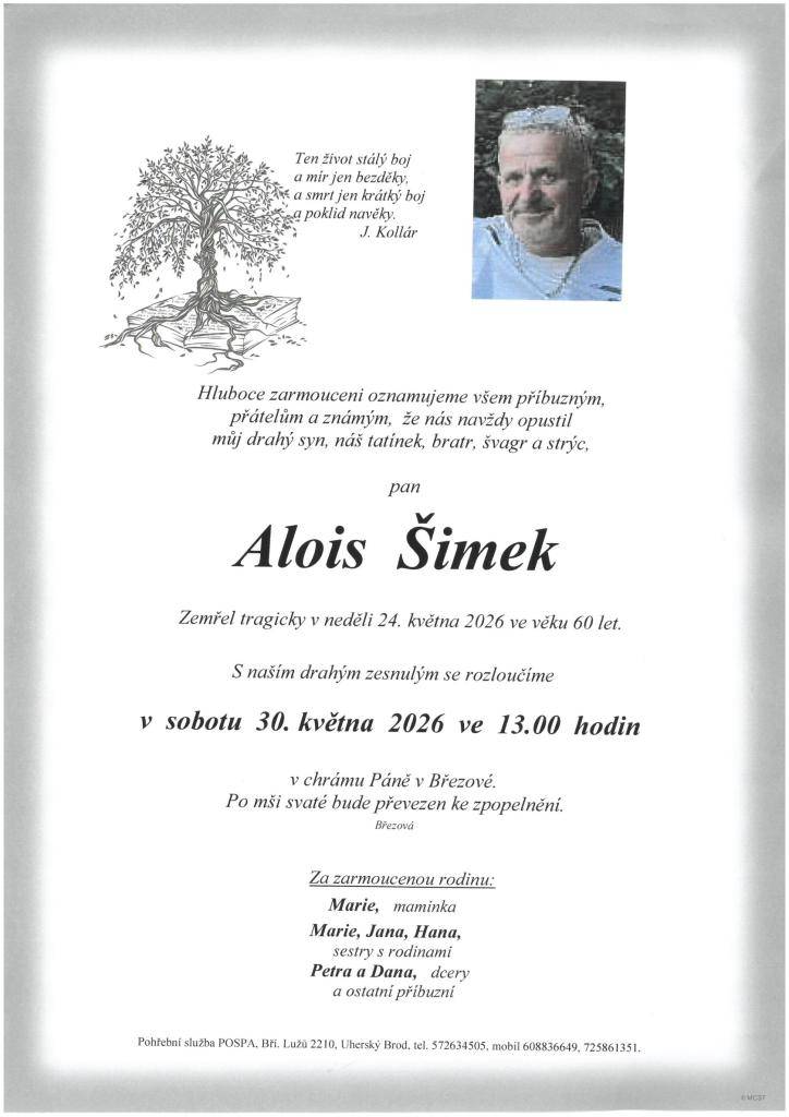 Alois Šimek