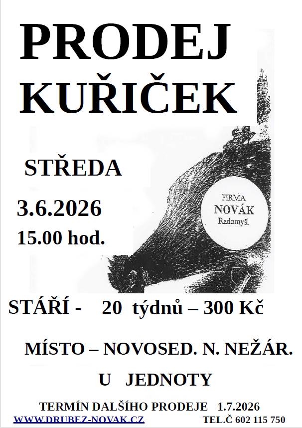 Prodej kuřiček