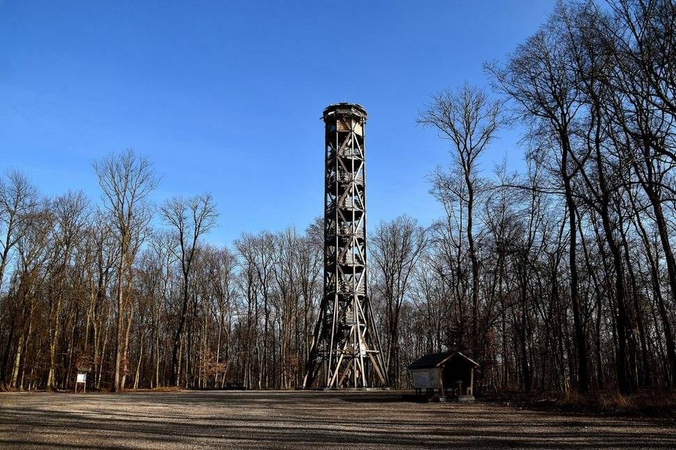 💭Spomínate si na minuloročnú turistiku s primátorom ,,Strážov - Čičmany - Zliechov"?  😎Ak nie, je to v poriadku, chystáme sa na ďalšiu...   ☀️Priaznivé počasie využijeme v sobotu 30.5.2026, aby sme absolvovali trasu Dolná Súča - Polníky - Ibovka...  🚌Doprava tam a späť bude zabezpečená...  📆Kedy: 30.5.2026 (sobota)  ⏰Odchod autobusu: o 7:30 h. z Mierového námestia ↔️Predpokladaný návrat do Nemšovej: 14:30 h.  💪Obtiažnosť: nenáročná prechádzka lesom a lúkami vhodná pre rodiny s deťmi...  👉Bližšie informácie: ☎️0918 876 725 📧sekretariatprimatora@nemsova.sk