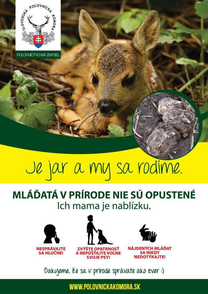 Slovenská poľovnícka komora    Zvýšte  opatrnosť a nepúšťajte voľne svoje psy!