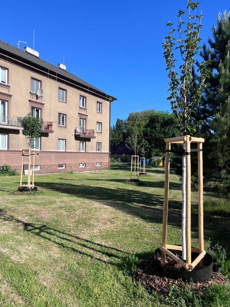 V březnu jsme ve Starém Dole zahájili realizaci projektu, jehož předmětem je výsadba alejových stromů, živých plotů a keřů s občasnou podsadbou trvalek, která zvýší atraktivitu a rozmanitost prostoru.