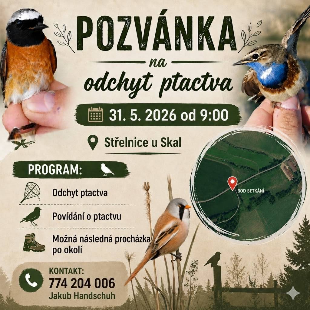 odchyt a následné zajímavé povídání