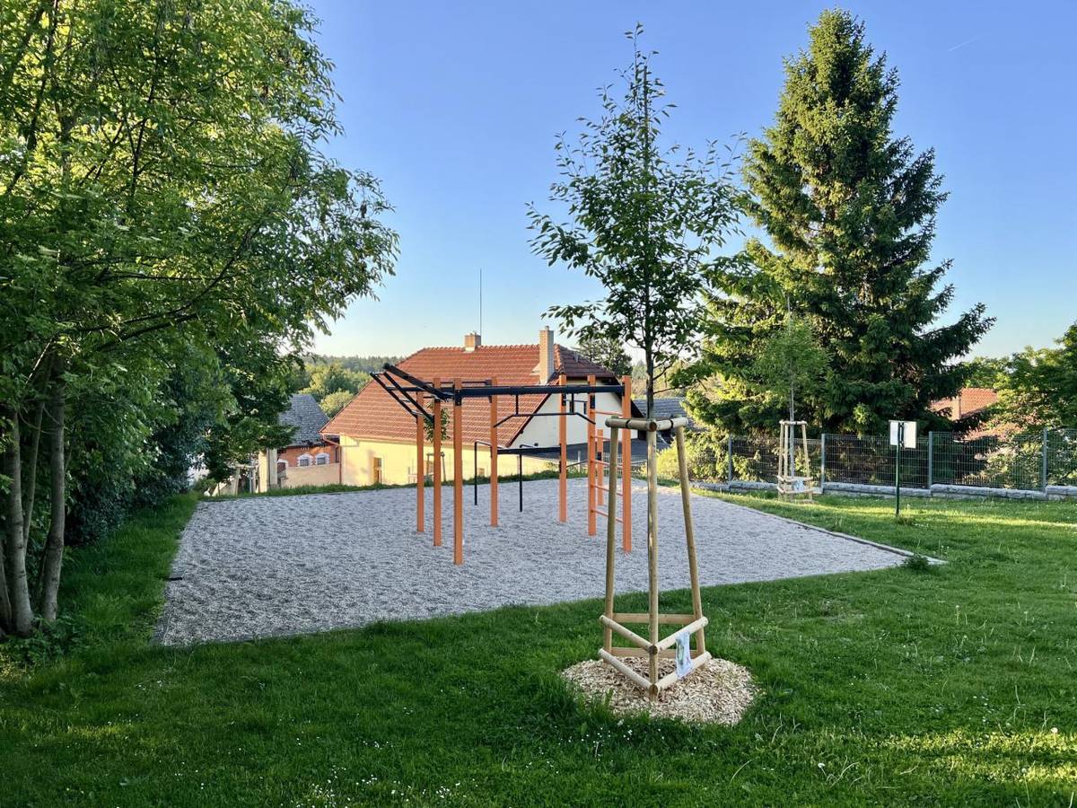 Ve spolupráci se zahradní architektkou jsme nechali v první etapě ošetřit staré stromy (včetně odstranění poškozených a potenciálně nebezpečných stromů), vysázeli jsme stromy nové a v další etapě budou doplněny i keře, které celý prostor ještě více zútulní.