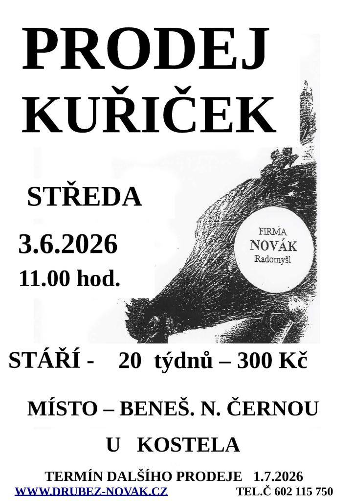 Prodej kuřiček