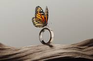 Oura Ring 5