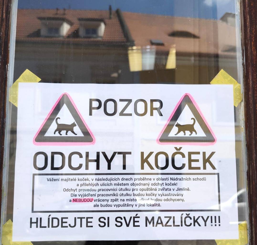 Město Žatec dlouhodobě řeší problematiku toulavých a opuštěných koček. V současné době připravuje konkrétní opatření, které se chystá realizovat zhruba za měsíc.