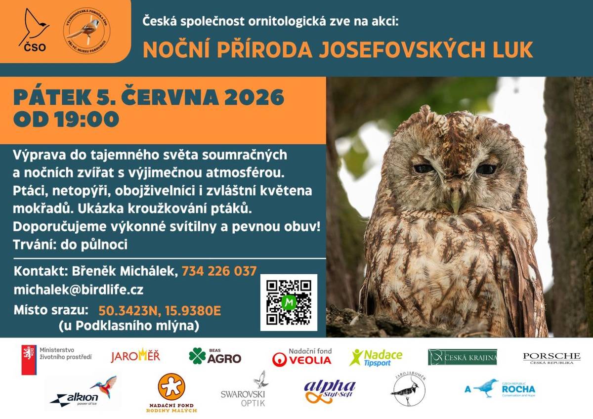 Česká společnost ornitologická pořádá akci zaměřenou na poznávání nočních zvířat a přírody. Účastníci se mohou těšit na ukázku kroužkování ptáků a setkání s různými druhy živočichů, jako jsou ptáci, netopýři a obojživelníci, v kouzelné atmosféře mokřadů. Výkonné svítilny s sebou !